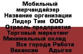 Мобильный мерчандайзер › Название организации ­ Лидер Тим, ООО › Отрасль предприятия ­ Торговый маркетинг › Минимальный оклад ­ 23 000 - Все города Работа » Вакансии   . Адыгея респ.,Адыгейск г.